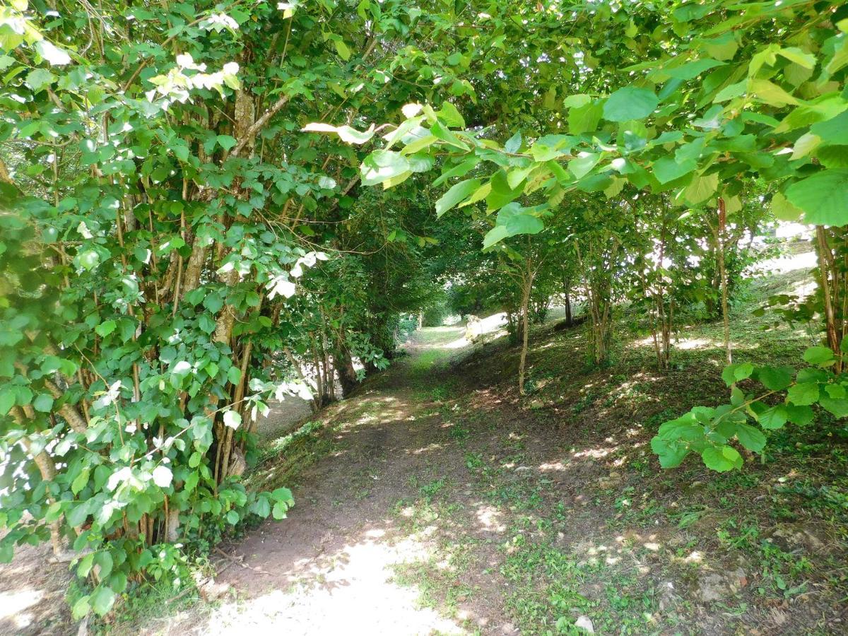 Domaine La Bastide Acomodação com café da manhã Cleyrac Exterior foto